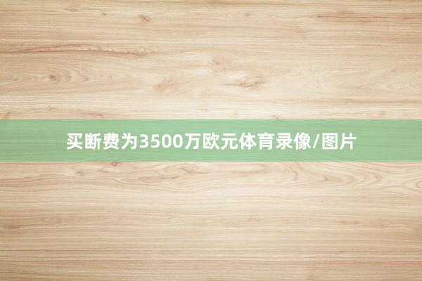 买断费为3500万欧元体育录像/图片
