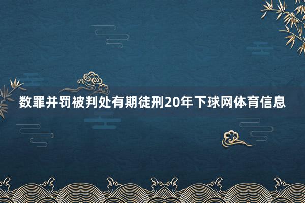 数罪并罚被判处有期徒刑20年下球网体育信息