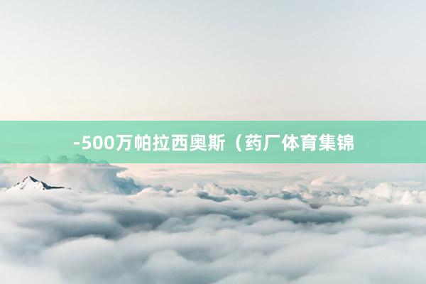 -500万帕拉西奥斯（药厂体育集锦