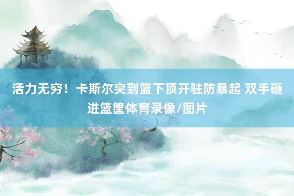 活力无穷！卡斯尔突到篮下顶开驻防暴起 双手砸进篮筐体育录像/图片