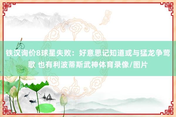 铁汉询价8球星失败：好意思记知道或与猛龙争莺歌 也有利波蒂斯武神体育录像/图片