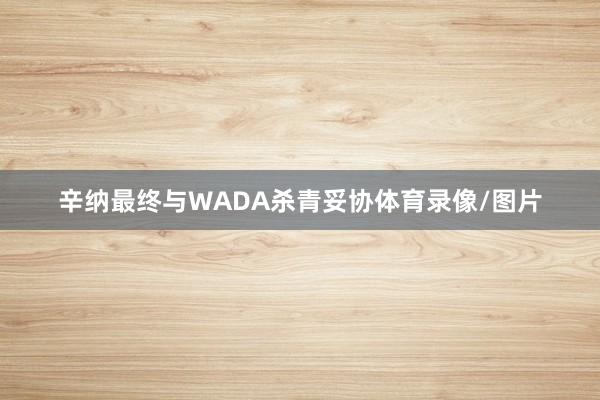 辛纳最终与WADA杀青妥协体育录像/图片