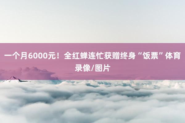 一个月6000元！全红蝉连忙获赠终身“饭票”体育录像/图片