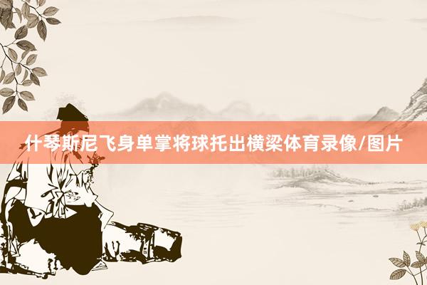 什琴斯尼飞身单掌将球托出横梁体育录像/图片