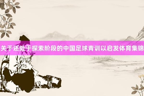 关于还处于探索阶段的中国足球青训以启发体育集锦