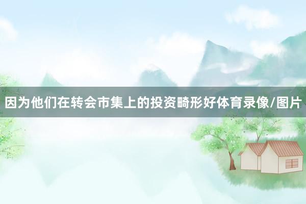 因为他们在转会市集上的投资畸形好体育录像/图片