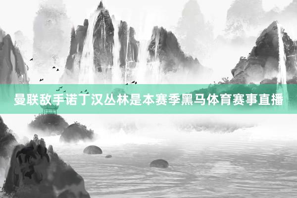 曼联敌手诺丁汉丛林是本赛季黑马体育赛事直播