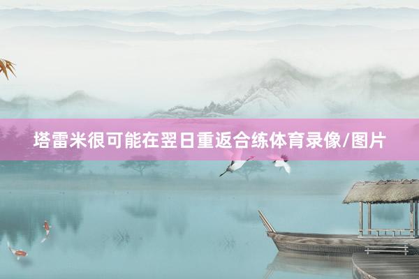 塔雷米很可能在翌日重返合练体育录像/图片