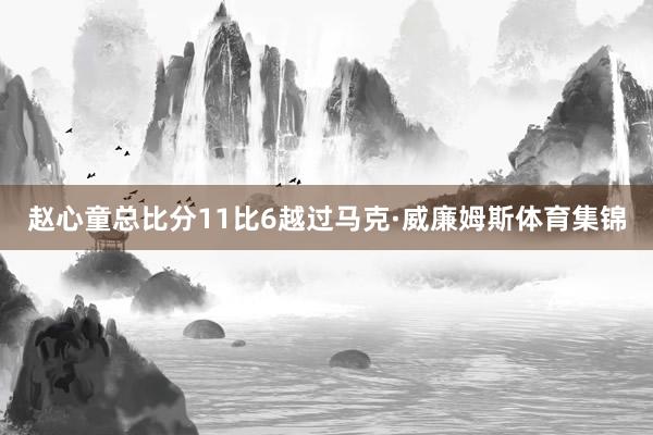 赵心童总比分11比6越过马克·威廉姆斯体育集锦
