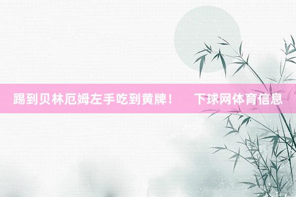 踢到贝林厄姆左手吃到黄牌！    下球网体育信息