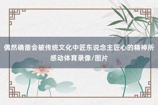 偶然确凿会被传统文化中匠东说念主匠心的精神所感动体育录像/图片