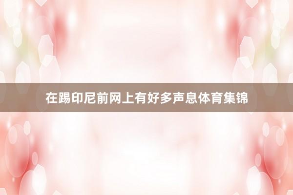 在踢印尼前网上有好多声息体育集锦