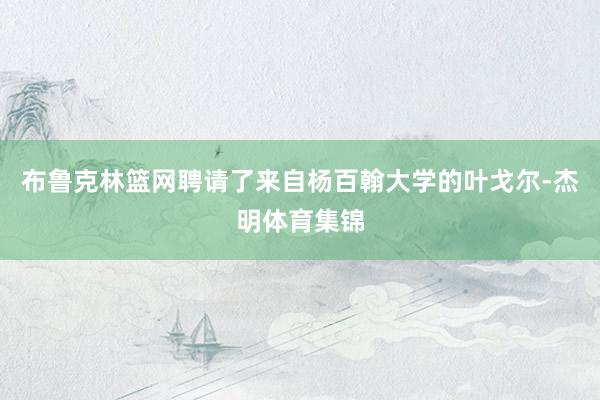 布鲁克林篮网聘请了来自杨百翰大学的叶戈尔-杰明体育集锦