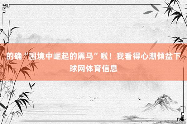 的确“困境中崛起的黑马”啦!我看得心潮倾盆下球网体育信息