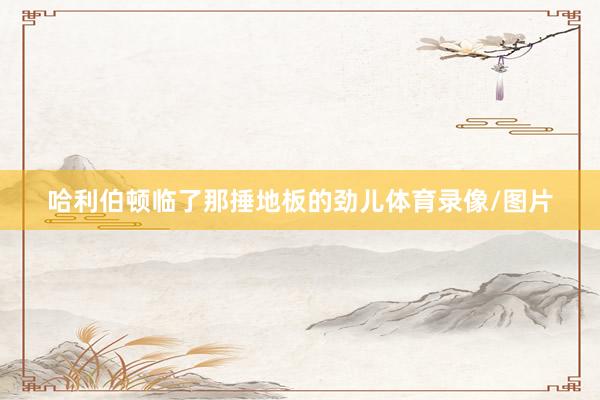 哈利伯顿临了那捶地板的劲儿体育录像/图片