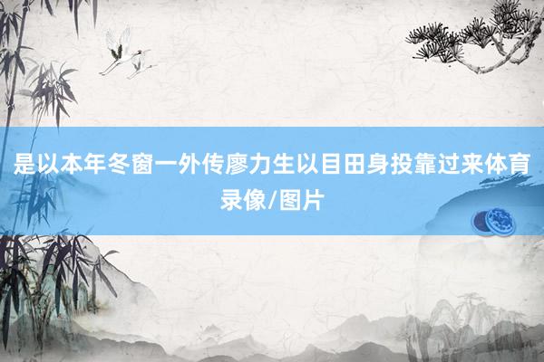 是以本年冬窗一外传廖力生以目田身投靠过来体育录像/图片