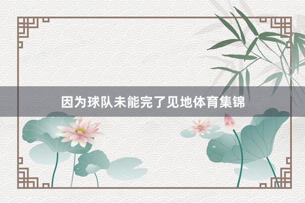 因为球队未能完了见地体育集锦
