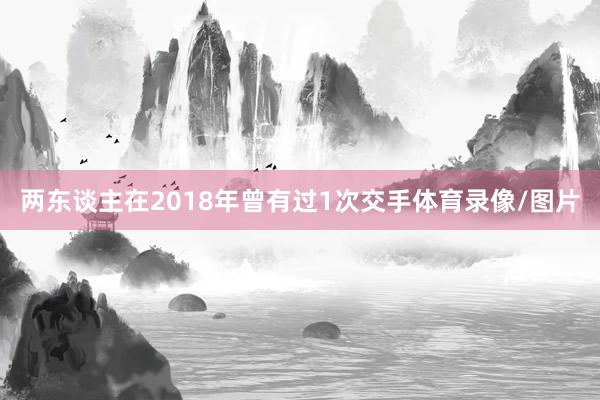 两东谈主在2018年曾有过1次交手体育录像/图片