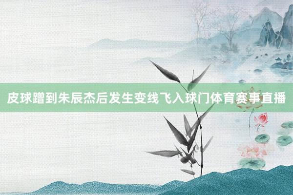 皮球蹭到朱辰杰后发生变线飞入球门体育赛事直播