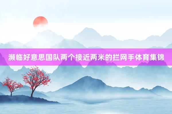 濒临好意思国队两个接近两米的拦网手体育集锦