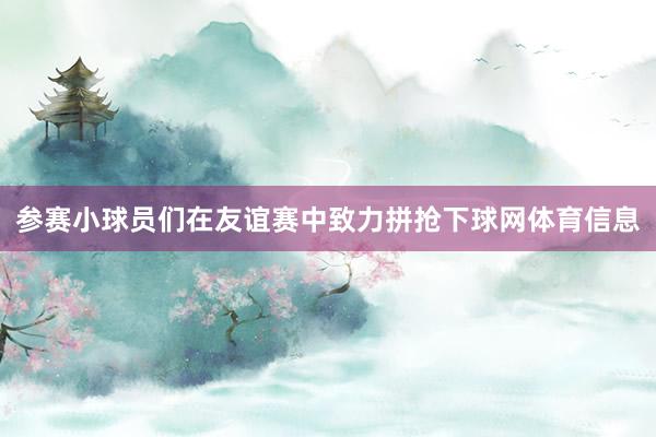 参赛小球员们在友谊赛中致力拼抢下球网体育信息