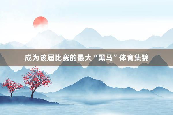 成为该届比赛的最大“黑马”体育集锦