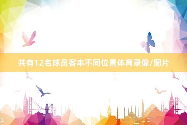 共有12名球员客串不同位置体育录像/图片