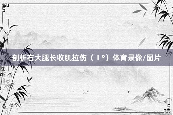 剖析右大腿长收肌拉伤(Ⅰ°)体育录像/图片