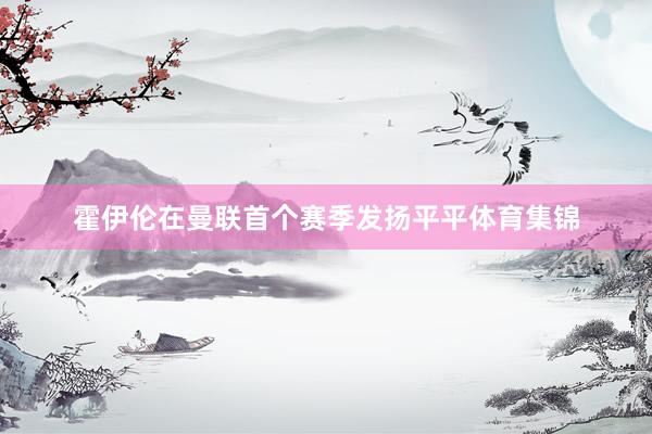 霍伊伦在曼联首个赛季发扬平平体育集锦