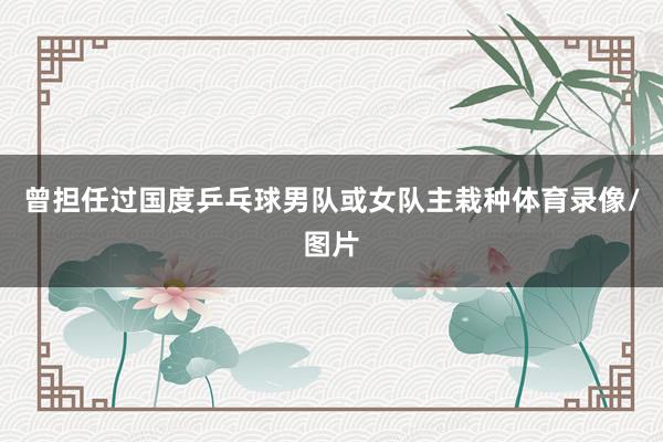 曾担任过国度乒乓球男队或女队主栽种体育录像/图片