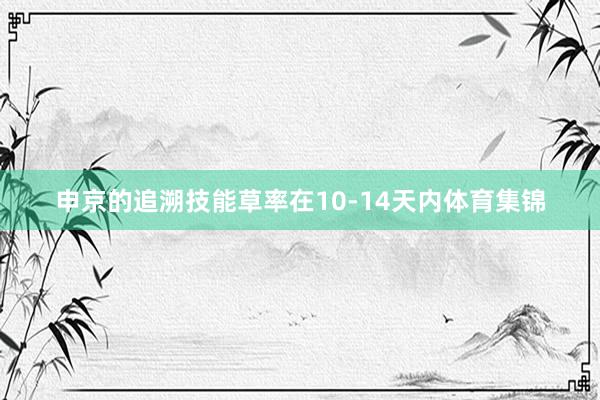 申京的追溯技能草率在10-14天内体育集锦