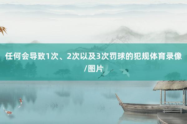 任何会导致1次、2次以及3次罚球的犯规体育录像/图片