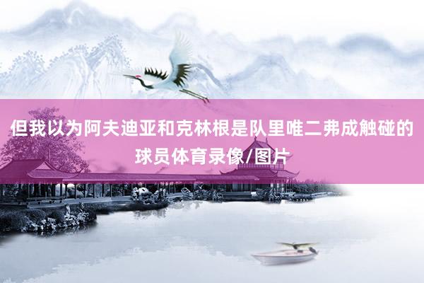 但我以为阿夫迪亚和克林根是队里唯二弗成触碰的球员体育录像/图片