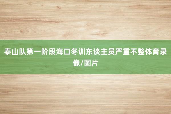 泰山队第一阶段海口冬训东谈主员严重不整体育录像/图片