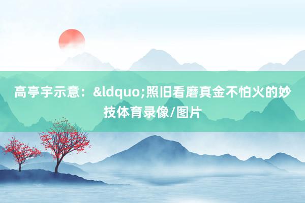 高亭宇示意：&ldquo;照旧看磨真金不怕火的妙技体育录像/图片