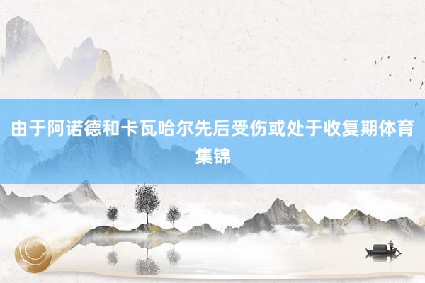 由于阿诺德和卡瓦哈尔先后受伤或处于收复期体育集锦