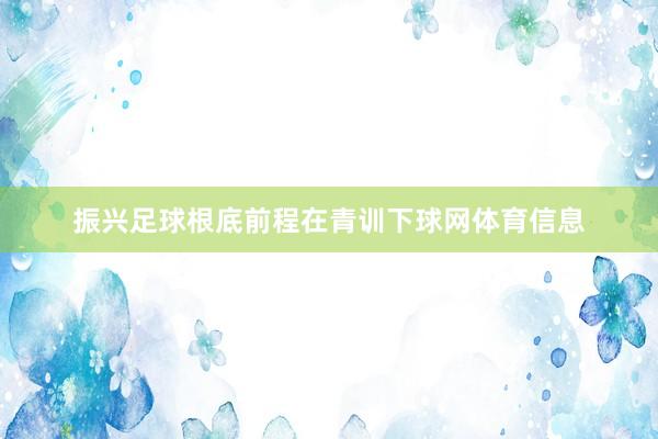 振兴足球根底前程在青训下球网体育信息