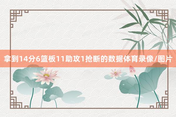 拿到14分6篮板11助攻1抢断的数据体育录像/图片